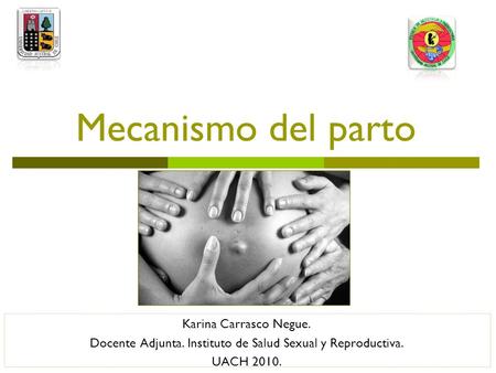 Docente Adjunta. Instituto de Salud Sexual y Reproductiva.