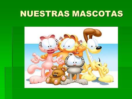 NUESTRAS MASCOTAS. Es importante que al adquirir una mascota tomes en cuenta estas medidas: