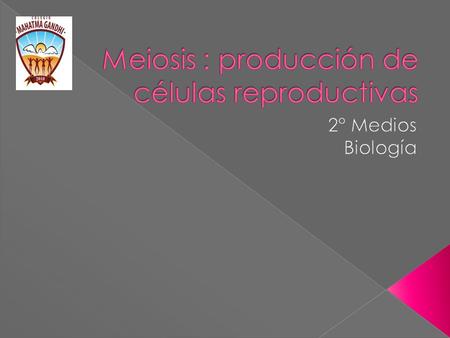 Meiosis : producción de células reproductivas
