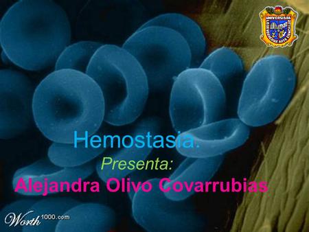 Hemostasia. Presenta: Alejandra Olivo Covarrubias