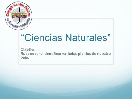 Objetivo: Reconocer e identificar variadas plantas de nuestro país.