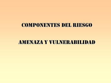 COMPONENTES DEL RIESGO