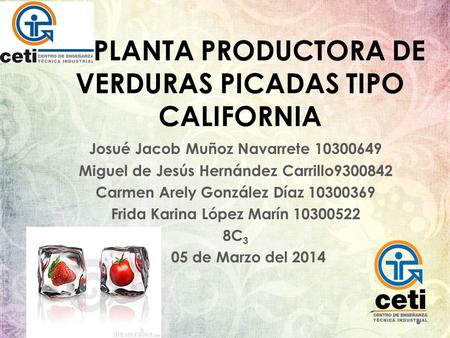 PLANTA PRODUCTORA DE VERDURAS PICADAS TIPO CALIFORNIA