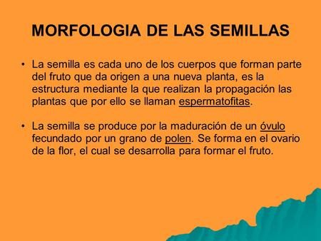 MORFOLOGIA DE LAS SEMILLAS