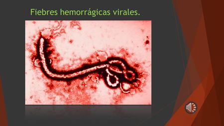 Fiebres hemorrágicas virales.