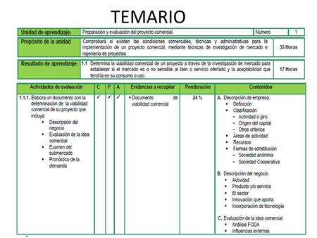 TEMARIO.