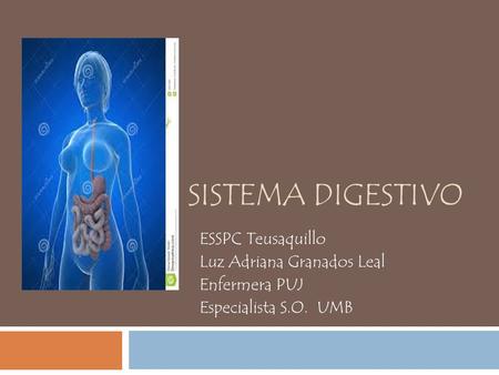 SISTEMA DIGESTIVO ESSPC Teusaquillo Luz Adriana Granados Leal