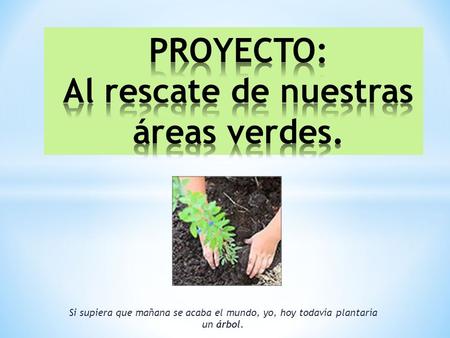 Si supiera que mañana se acaba el mundo, yo, hoy todavía plantaría un árbol.