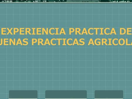 EXPERIENCIA PRACTICA DE BUENAS PRACTICAS AGRICOLAS