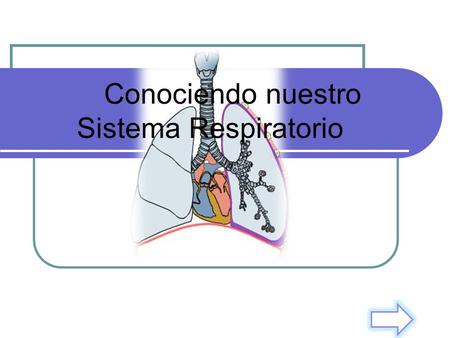 Conociendo nuestro Sistema Respiratorio