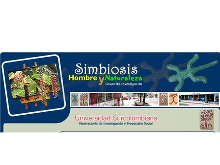 Políticas y normas para la revelación financiera en empresas de Neiva 2008.