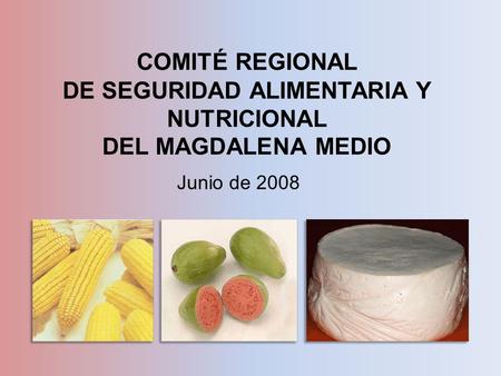 COMITÉ REGIONAL DE SEGURIDAD ALIMENTARIA Y NUTRICIONAL DEL MAGDALENA MEDIO Junio de 2008.