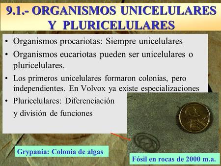 9.1.- ORGANISMOS UNICELULARES Y PLURICELULARES