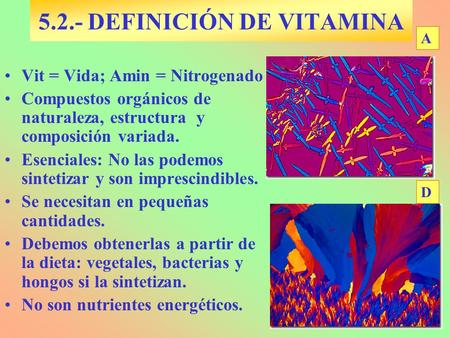 5.2.- DEFINICIÓN DE VITAMINA