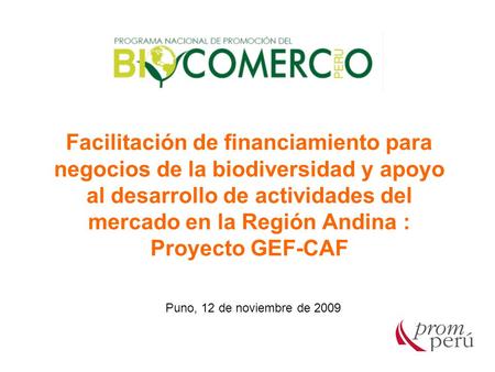 Facilitación de financiamiento para negocios de la biodiversidad y apoyo al desarrollo de actividades del mercado en la Región Andina : Proyecto GEF-CAF.