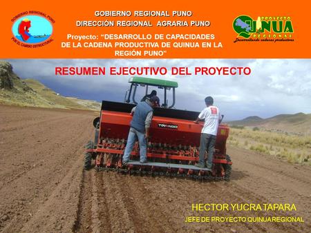 Proyecto: “DESARROLLO DE CAPACIDADES DE LA CADENA PRODUCTIVA DE QUINUA EN LA REGIÓN PUNO” GOBIERNO REGIONAL PUNO DIRECCIÓN REGIONAL AGRARIA PUNO RESUMEN.