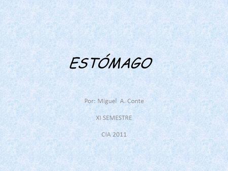 Por: Miguel A. Conte XI SEMESTRE CIA 2011