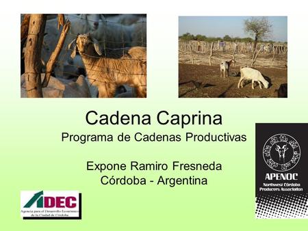 Cadena Caprina Programa de Cadenas Productivas Expone Ramiro Fresneda Córdoba - Argentina.