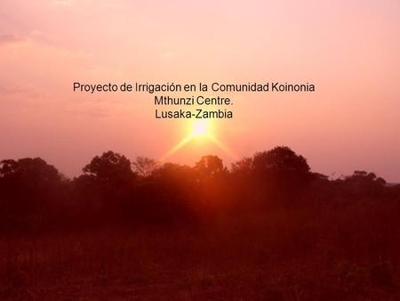Proyecto de Irrigación en la Comunidad Koinonia Mthunzi Centre. Lusaka-Zambia.