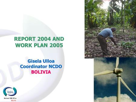 REPORT 2004 AND WORK PLAN 2005 Gisela Ulloa Coordinator NCDO BOLIVIA.