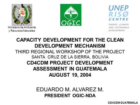 CD4CDM GUATEMALA Ministerio de Ambiente y Recursos Naturales CAPACITY DEVELOPMENT FOR THE CLEAN DEVELOPMENT MECHANISM THIRD REGIONAL WORKSHOP OF THE PROJECT.