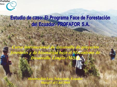 Estudio de caso: El Programa Face de Forestación