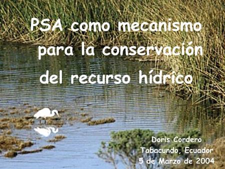 PSA como mecanismo para la conservación del recurso hídrico