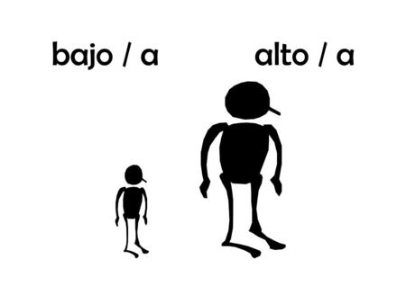 Bajo / aalto / a. delgado / agordo / a flaco/a bonito / afeo / a guapo / a.