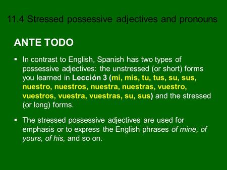 ANTE TODO In contrast to English, Spanish has two types of possessive adjectives: the unstressed (or short) forms you learned in Lección 3 (mi, mis, tu,