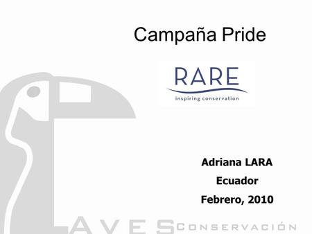 Campaña Pride Adriana LARA Ecuador Febrero, 2010.