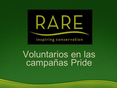 Voluntarios en las campañas Pride. Construyendo la sostenibilidad UNA HISTORIA DE ÉXITO.
