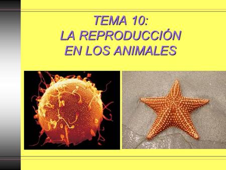 TEMA 10: LA REPRODUCCIÓN EN LOS ANIMALES