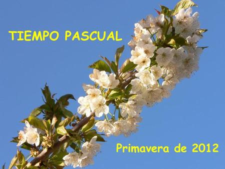 TIEMPO PASCUAL Primavera de 2012.