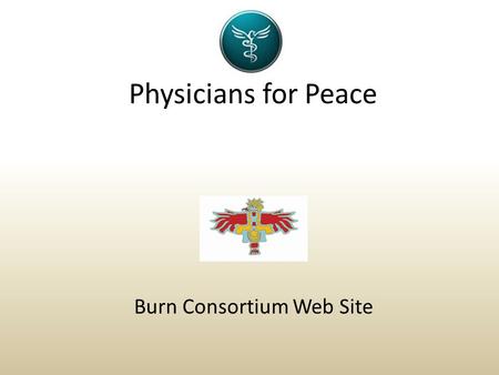 Physicians for Peace Burn Consortium Web Site.