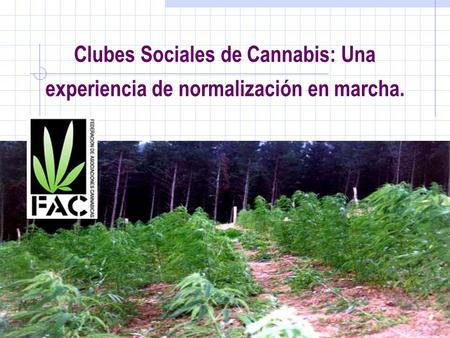 Consumo de cannabis en la CAPV