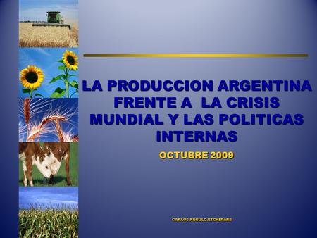 CARLOS REGULO ETCHEPARE LA PRODUCCION ARGENTINA FRENTE A LA CRISIS MUNDIAL Y LAS POLITICAS INTERNAS OCTUBRE 2009.