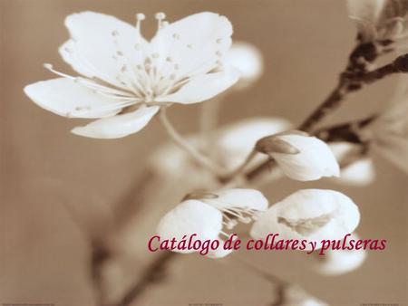 Catálogo de collares y pulseras