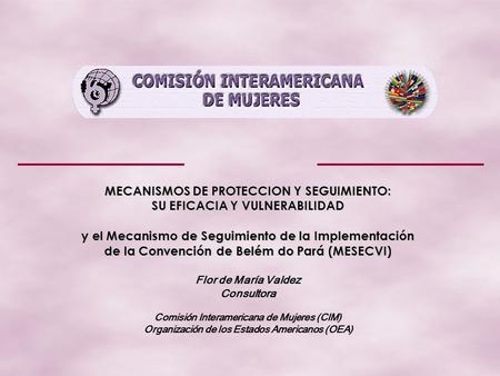 MECANISMOS DE PROTECCION Y SEGUIMIENTO: SU EFICACIA Y VULNERABILIDAD y el Mecanismo de Seguimiento de la Implementación de la Convención de Belém do Pará.