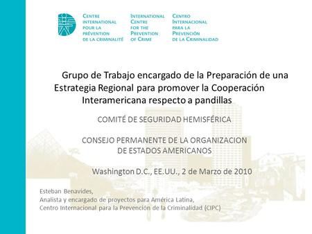Grupo de Trabajo encargado de la Preparación de una Estrategia Regional para promover la Cooperación Interamericana respecto a pandillas COMITÉ DE SEGURIDAD.