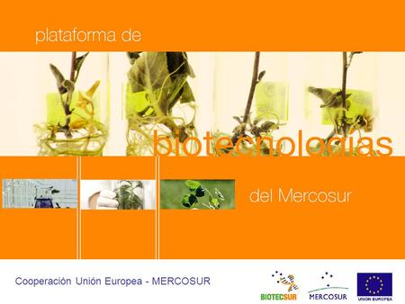 Cooperación Comunidad Europea - MERCOSUR Cooperación Unión Europea - MERCOSUR.