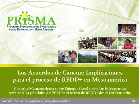 Los Acuerdos de Cancún: Implicaciones para el proceso de REDD+ en Mesoamérica Consulta Mesoamericana sobre Enfoque Común para las Salvaguardas Ambientales.