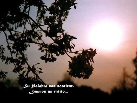Su Palabra nos sostiene. Leamos un ratito...