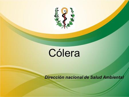 Cólera Dirección nacional de Salud Ambiental.