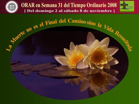 ORAR en Semana 31 del Tiempo Ordinario 2008