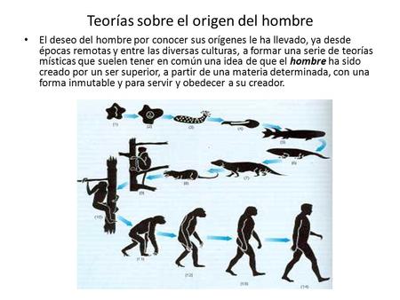 Teorías sobre el origen del hombre