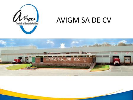 AVIGM SA DE CV.
