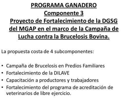 PROGRAMA GANADERO Componente 3 Proyecto de Fortalecimiento de la DGSG del MGAP en el marco de la Campaña de Lucha contra la Brucelosis Bovina. La propuesta.