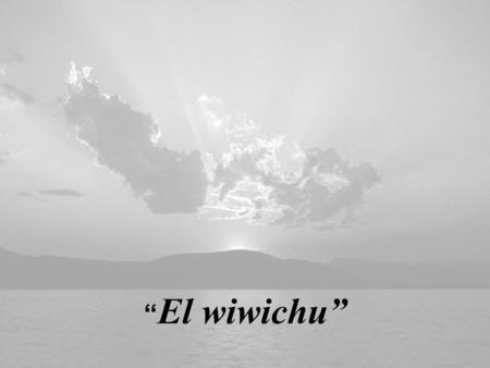 “El wiwichu”.
