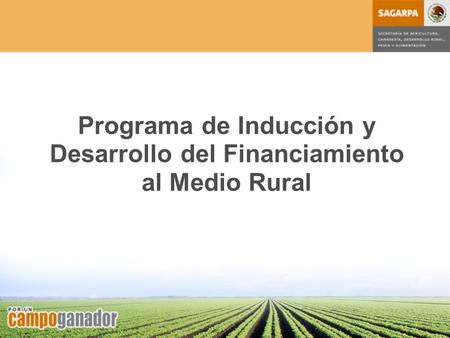 Programa de Inducción y Desarrollo del Financiamiento al Medio Rural.