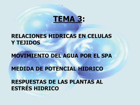 TEMA 3: RELACIONES HIDRICAS EN CELULAS Y TEJIDOS